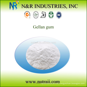 Gellan Gummi Pulver CAS NO. 71010-52-1